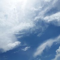 气象科普编辑在书桌前整理未来15天天气预报的温度曲线资料，窗边自然光柔和，氛围安静专注